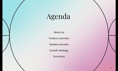 Thumbnail SlideMint - 3
