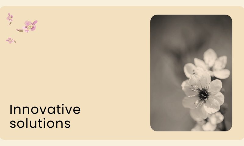 Global Blossoms - Slide 11